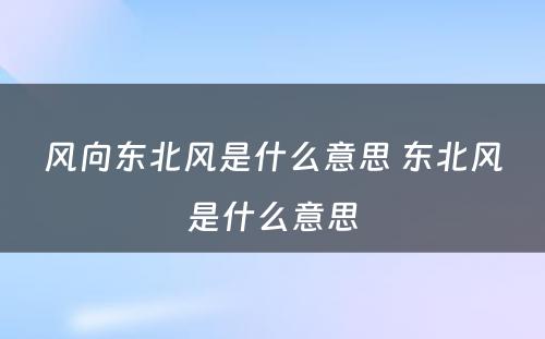 风向东北风是什么意思 东北风是什么意思