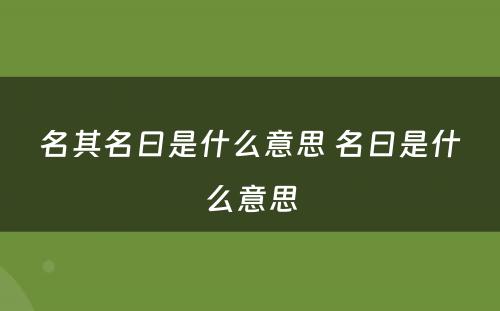 名其名曰是什么意思 名曰是什么意思