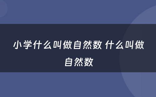 小学什么叫做自然数 什么叫做自然数