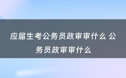 应届生考公务员政审审什么 公务员政审审什么