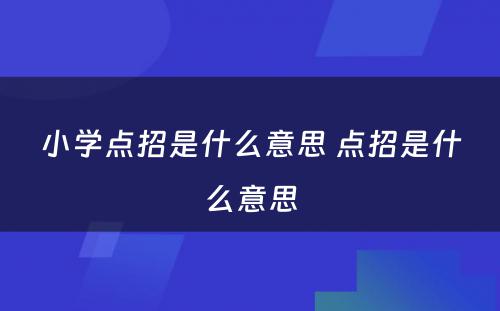 小学点招是什么意思 点招是什么意思