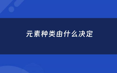  元素种类由什么决定