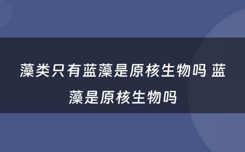 藻类只有蓝藻是原核生物吗 蓝藻是原核生物吗