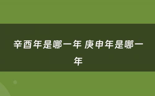 辛酉年是哪一年 庚申年是哪一年