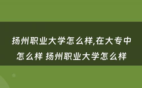 扬州职业大学怎么样,在大专中怎么样 扬州职业大学怎么样