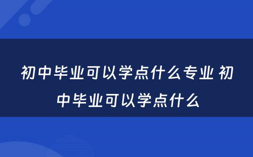 初中毕业可以学点什么专业 初中毕业可以学点什么