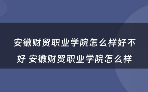 安徽财贸职业学院怎么样好不好 安徽财贸职业学院怎么样