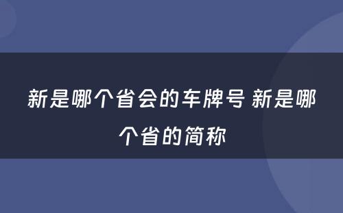 新是哪个省会的车牌号 新是哪个省的简称