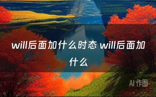 will后面加什么时态 will后面加什么