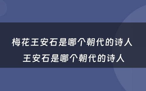 梅花王安石是哪个朝代的诗人 王安石是哪个朝代的诗人