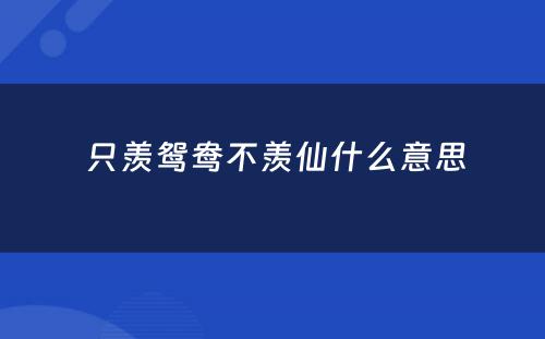  只羡鸳鸯不羡仙什么意思