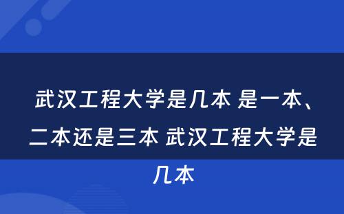 武汉工程大学是几本 是一本、二本还是三本 武汉工程大学是几本