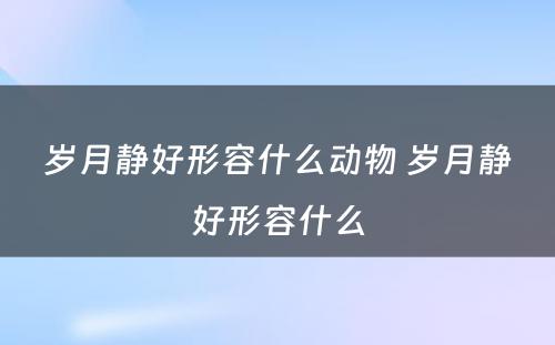 岁月静好形容什么动物 岁月静好形容什么