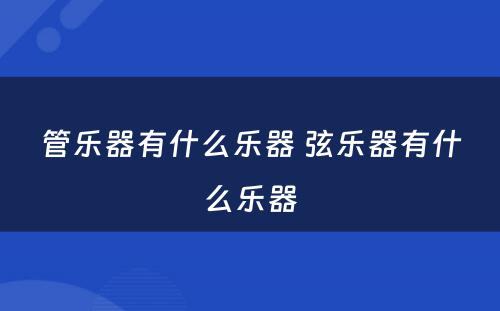 管乐器有什么乐器 弦乐器有什么乐器