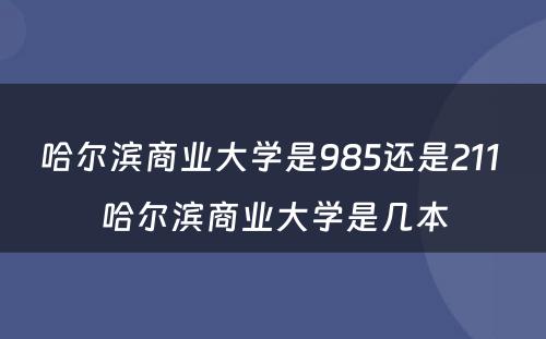 哈尔滨商业大学是985还是211 哈尔滨商业大学是几本