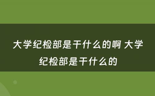 大学纪检部是干什么的啊 大学纪检部是干什么的