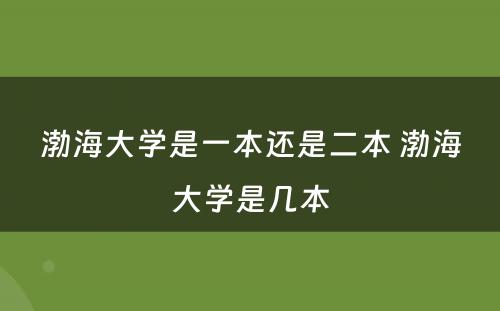 渤海大学是一本还是二本 渤海大学是几本