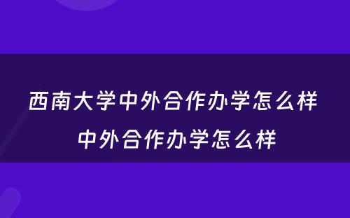 西南大学中外合作办学怎么样 中外合作办学怎么样