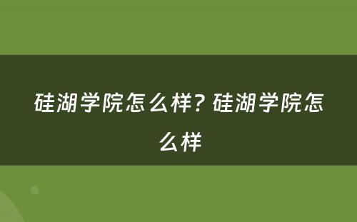 硅湖学院怎么样? 硅湖学院怎么样