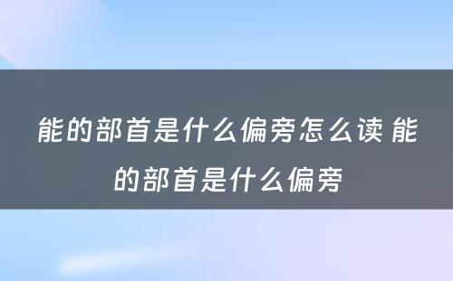 能的部首是什么偏旁怎么读 能的部首是什么偏旁