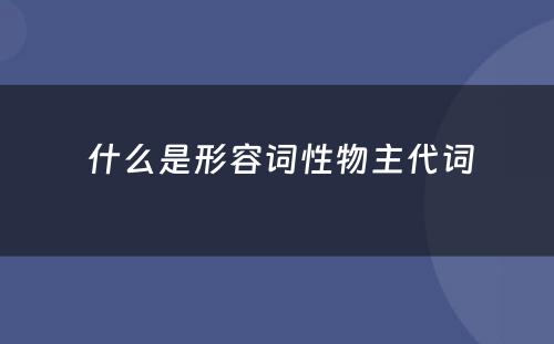  什么是形容词性物主代词