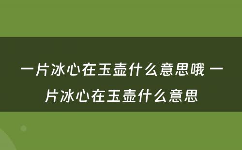 一片冰心在玉壶什么意思哦 一片冰心在玉壶什么意思