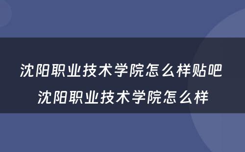 沈阳职业技术学院怎么样贴吧 沈阳职业技术学院怎么样