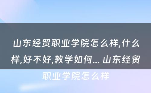 山东经贸职业学院怎么样,什么样,好不好,教学如何... 山东经贸职业学院怎么样