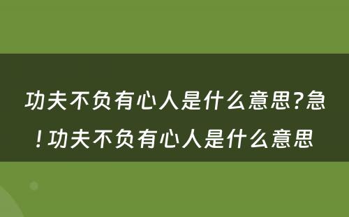 功夫不负有心人是什么意思?急! 功夫不负有心人是什么意思