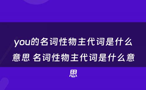 you的名词性物主代词是什么意思 名词性物主代词是什么意思