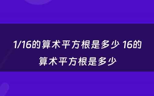 1/16的算术平方根是多少 16的算术平方根是多少