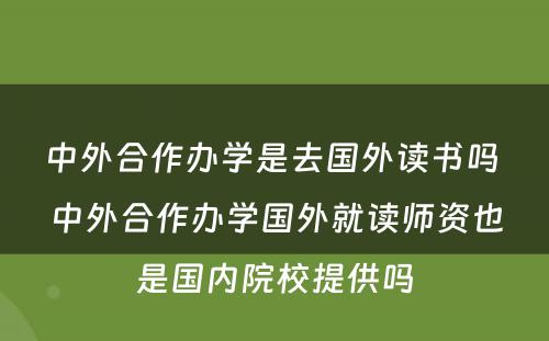 中外合作办学是去国外读书吗 中外合作办学国外就读师资也是国内院校提供吗