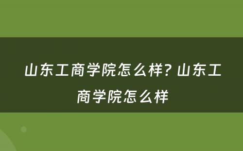 山东工商学院怎么样? 山东工商学院怎么样