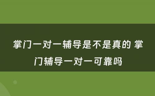 掌门一对一辅导是不是真的 掌门辅导一对一可靠吗