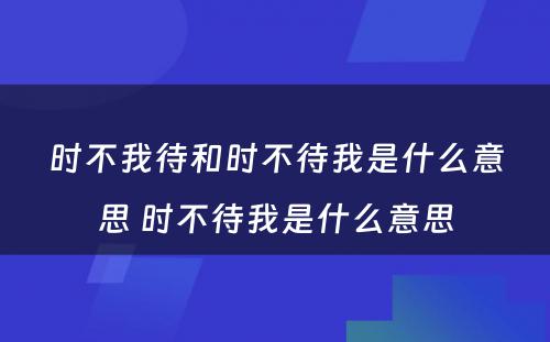 时不我待和时不待我是什么意思 时不待我是什么意思