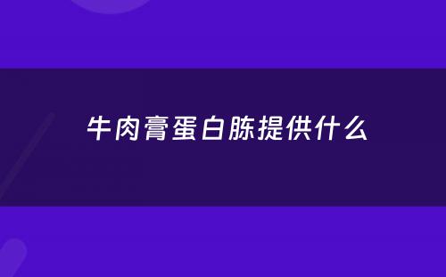  牛肉膏蛋白胨提供什么