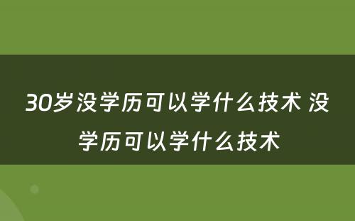 30岁没学历可以学什么技术 没学历可以学什么技术