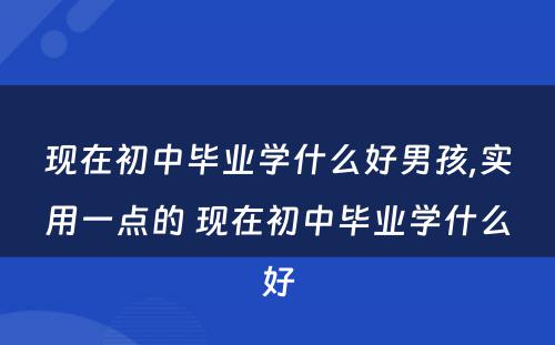 现在初中毕业学什么好男孩,实用一点的 现在初中毕业学什么好