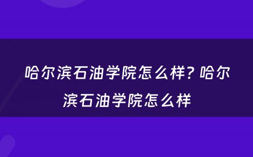 哈尔滨石油学院怎么样? 哈尔滨石油学院怎么样