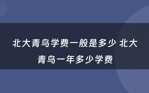 北大青鸟学费一般是多少 北大青鸟一年多少学费