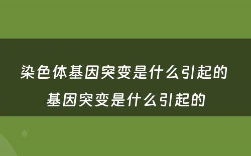 染色体基因突变是什么引起的 基因突变是什么引起的