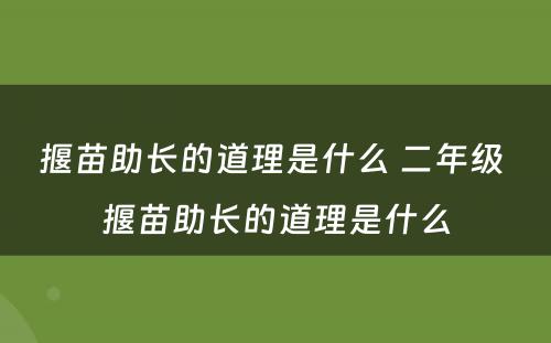 揠苗助长的道理是什么 二年级 揠苗助长的道理是什么