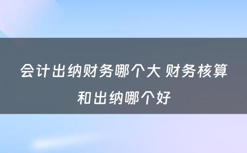 会计出纳财务哪个大 财务核算和出纳哪个好