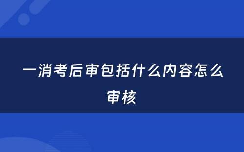 一消考后审包括什么内容怎么审核 