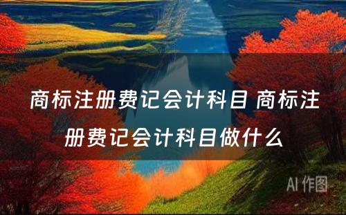 商标注册费记会计科目 商标注册费记会计科目做什么