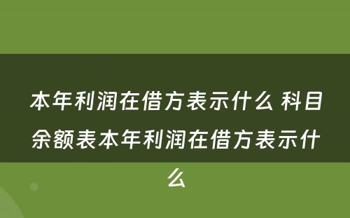 本年利润在借方表示什么 科目余额表本年利润在借方表示什么