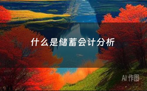 什么是储蓄会计分析 