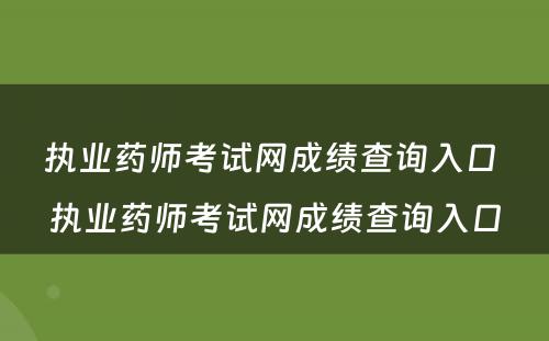 执业药师考试网成绩查询入口 执业药师考试网成绩查询入口