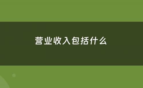 营业收入包括什么 