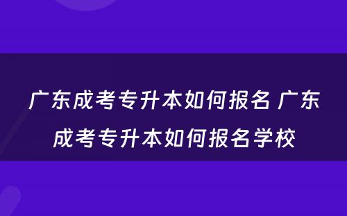 广东成考专升本如何报名 广东成考专升本如何报名学校